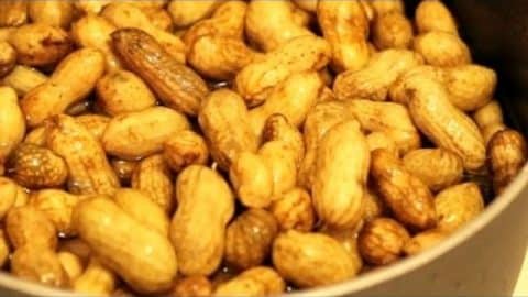 Easy Southern Boiled Peanut Recipe | DIY Joy Projects and Crafts Ideas