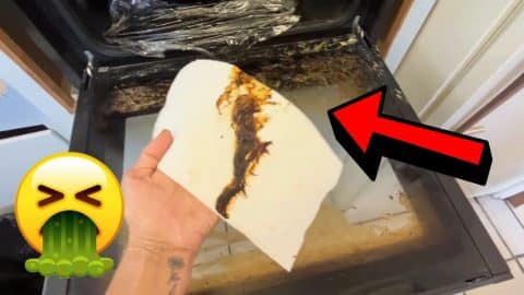 Here’s How to Clean Oven Buildup Like a Pro | DIY Joy Projects and Crafts Ideas