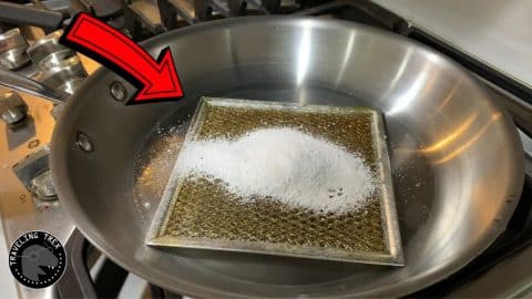 How to Clean Filter Grease Buildup Without Scrubbing | DIY Joy Projects and Crafts Ideas