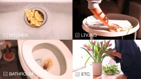 How to Deep Clean Your Entire Home in 1 Week | DIY Joy Projects and Crafts Ideas