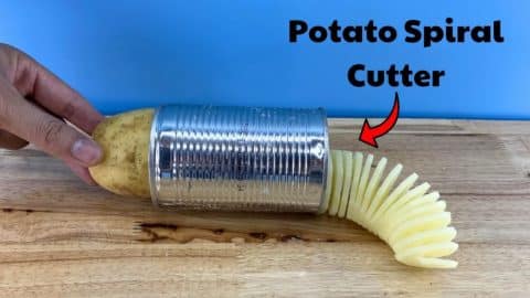 How to Make a Spiral Potato Cutter | DIY Joy Projects and Crafts Ideas