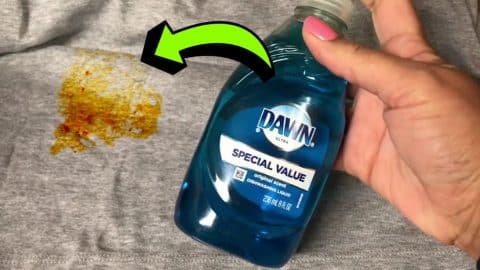 How to Remove Clothes Stains Using Dawn Dish Soap | DIY Joy Projects and Crafts Ideas
