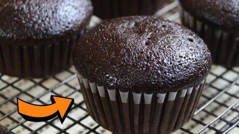 Perfectly Moist Chocolate Cupcake Recipe | DIY Joy Projects and Crafts Ideas