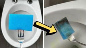 Pro Toilet Cleaning Hack Using a Fork