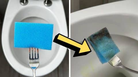 Pro Toilet Cleaning Hack Using a Fork | DIY Joy Projects and Crafts Ideas