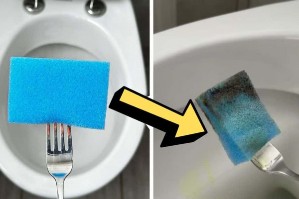 Pro Toilet Cleaning Hack Using a Fork
