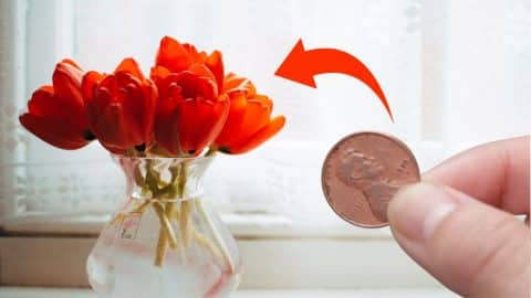Try Putting Vodka and Pennies in Your Flower Vases | DIY Joy Projects and Crafts Ideas