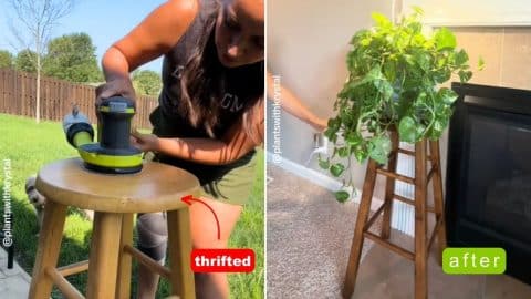 Woman Transformed Thrifted Stool Into Lovely Indoor Plant Stand | DIY Joy Projects and Crafts Ideas