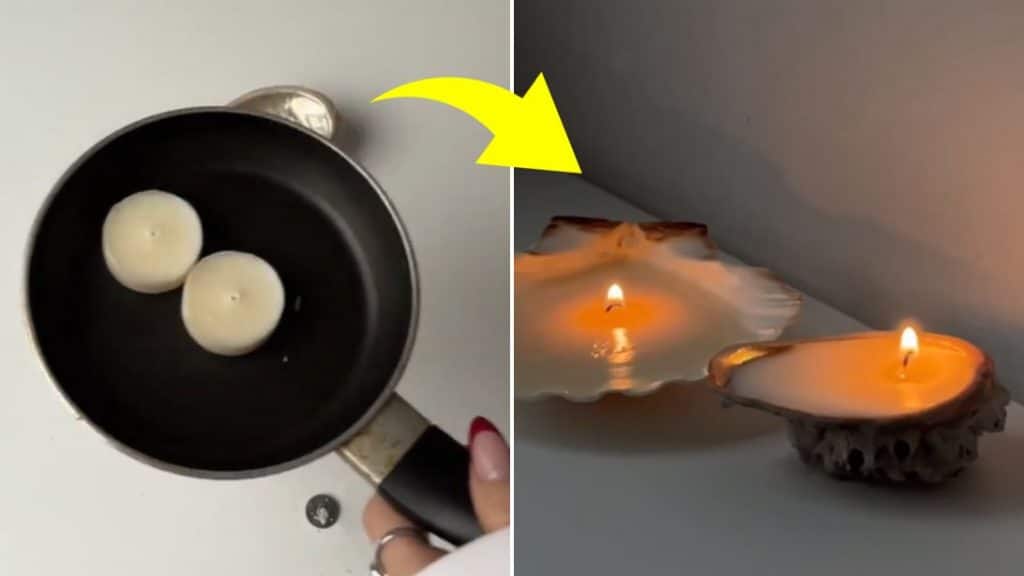 Woman Upcycled Seashells into Candles