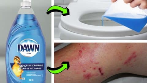 10 Surprising Uses of Dawn Dish Soap | DIY Joy Projects and Crafts Ideas