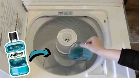 5 Laundry Hacks To Make Your Life Easier | DIY Joy Projects and Crafts Ideas