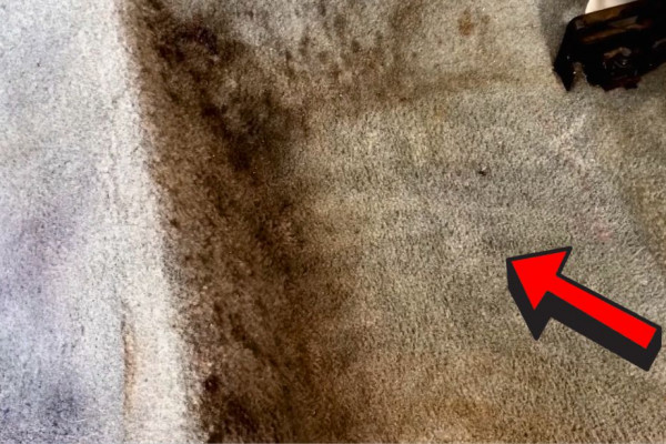 Amazing Way to Clean The Nastiest and Dirtiest Carpet