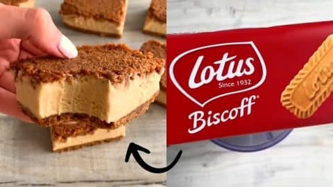 Biscoff Ice Cream Sandwiches | DIY Joy Projects and Crafts Ideas