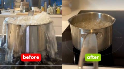 Clever Kitchen Hacks You Should Know | DIY Joy Projects and Crafts Ideas