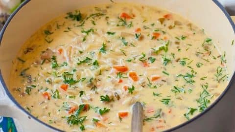 Creamy Lemon Orzo Chicken Soup | DIY Joy Projects and Crafts Ideas