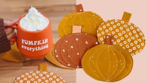 Cute Fall Pumpkin Coaster | DIY Joy Projects and Crafts Ideas