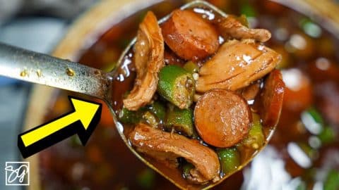 Easy Creole Chicken & Sausage Gumbo Recipe | DIY Joy Projects and Crafts Ideas