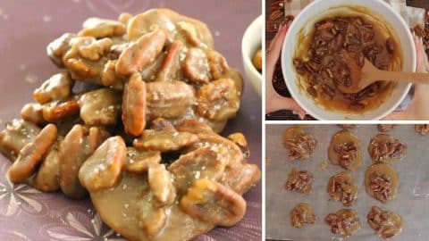 Easy 7-Minute Microwave Praline Pecan Clusters Recipe | DIY Joy Projects and Crafts Ideas