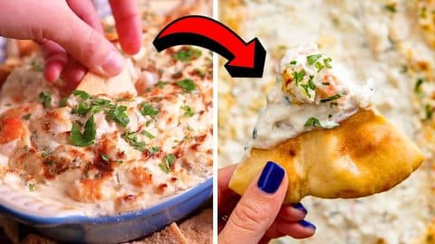 Easy-to-Make Creamy & Cheesy Garlic Shrimp Dip | DIY Joy Projects and Crafts Ideas