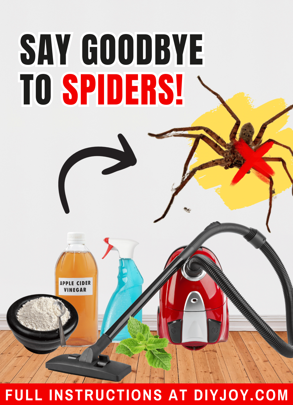 How To Get Rid Of Spiders In Your House