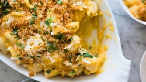 How to Make Butternut Squash Mac and Cheese | DIY Joy Projects and Crafts Ideas