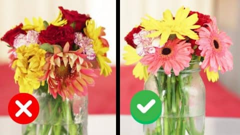 How to Make Your Flower Arrangements Last Longer | DIY Joy Projects and Crafts Ideas