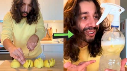 How to Make a Cleaning Spray Out of Lemon Peels | DIY Joy Projects and Crafts Ideas