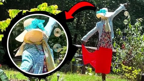 How to Make a DIY Dancing Scarecrow Girl | DIY Joy Projects and Crafts Ideas