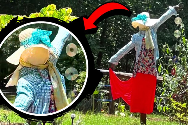 How to Make a DIY Dancing Scarecrow Girl