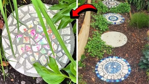 How to Make a DIY Plate Yard Stepping Stone | DIY Joy Projects and Crafts Ideas
