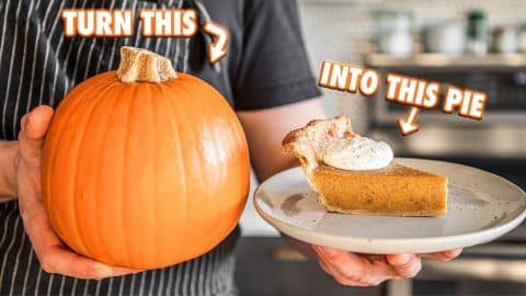 Turn a Whole Pumpkin Into The Best Pumpkin Pie | DIY Joy Projects and Crafts Ideas