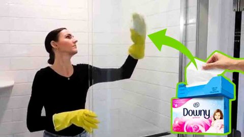 How To Clean Glass Shower Like A Pro | DIY Joy Projects and Crafts Ideas