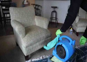 How To Clean Your Furniture Upholstery Like A Pro Diy Joy