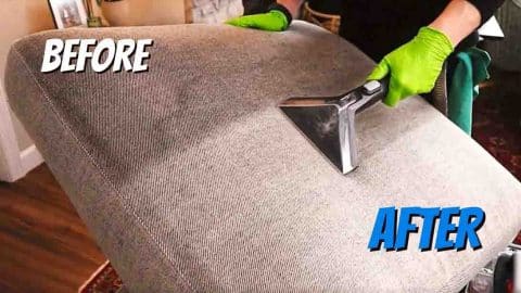 How To Clean Your Furniture & Upholstery Like A Pro | DIY Joy Projects and Crafts Ideas