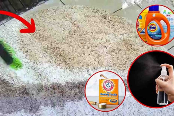 How To Deep Clean A Carpet At Home Without A Machine