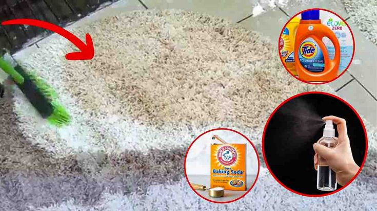 How To Deep Clean A Carpet At Home Without A Machine - DIY Joy
