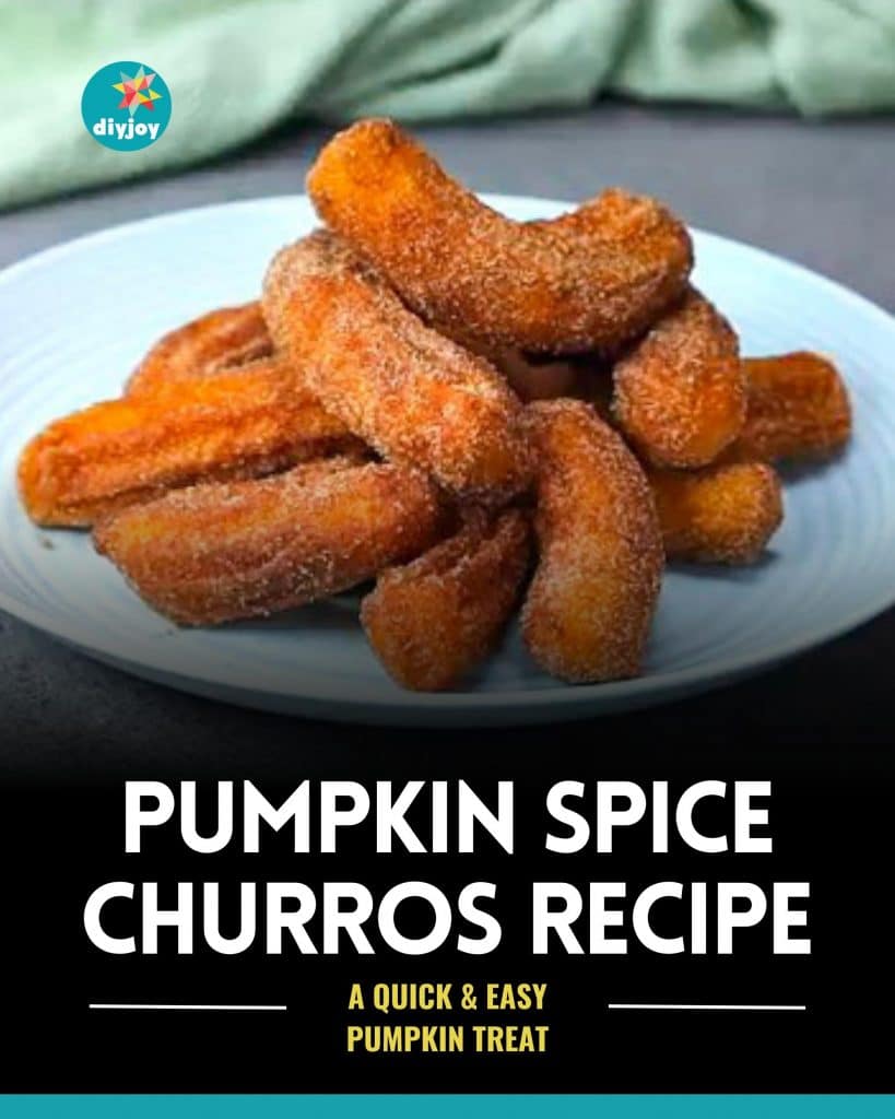 Pumpkin Spice Churros Recipe