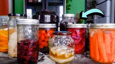 5 Ways to Preserve Food Without Canning or Freezing | DIY Joy Projects and Crafts Ideas