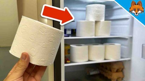 6 Clever Home Tricks with Toilet Paper | DIY Joy Projects and Crafts Ideas