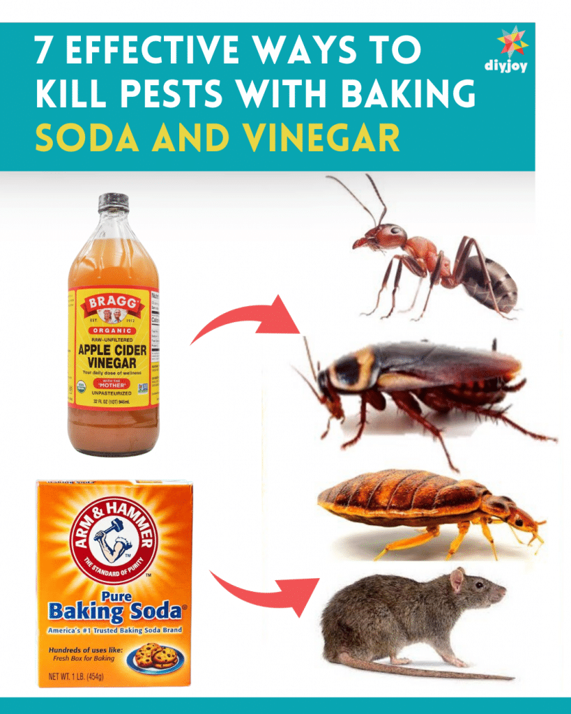 7 Effective Ways to Kill Pests With Baking Soda and Vinegar