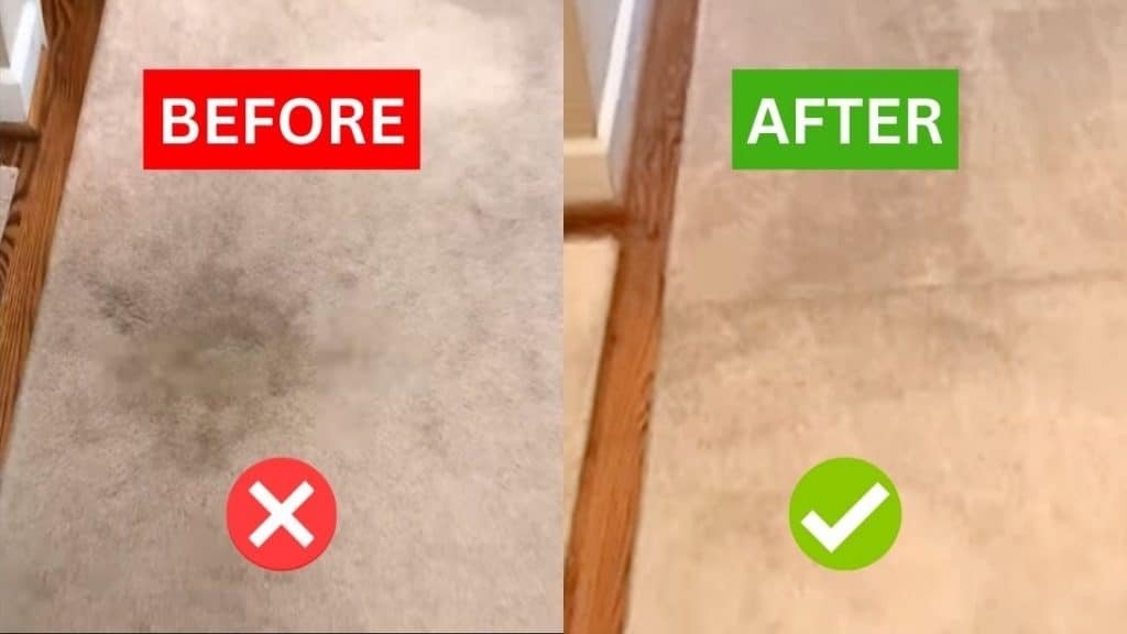 DIY Carpet Stain Remover for Pennies