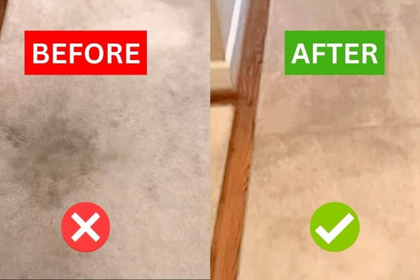 DIY Carpet Stain Remover for Pennies