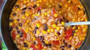 Easy 30-Minute 7-Can Chicken Taco Soup Recipe