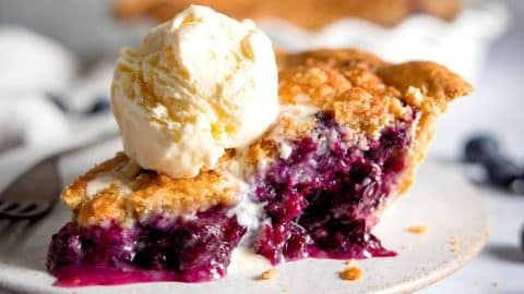 Easy Blueberry Crumble Pie Recipe | DIY Joy Projects and Crafts Ideas
