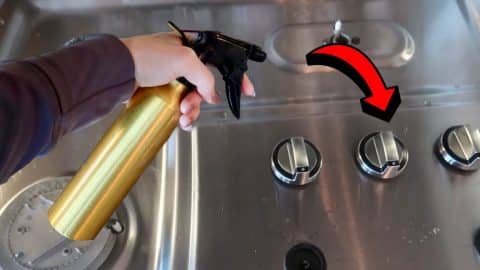 Easy Dollar Tree Cleaning Hack For A Shiny Stovetop | DIY Joy Projects and Crafts Ideas