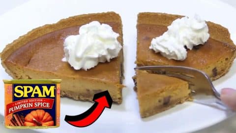 Easy Pumpkin Spice SPAM Cheesecake Recipe | DIY Joy Projects and Crafts Ideas