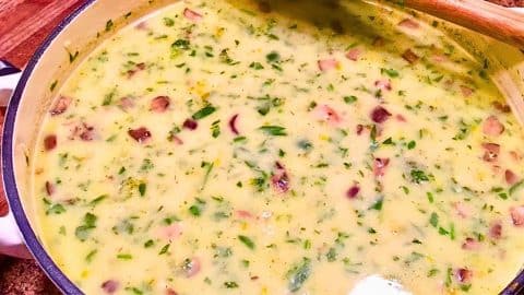 Easy Turkey, Vegetable, and Cheese Soup Recipe | DIY Joy Projects and Crafts Ideas