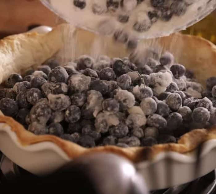 Easy to Make Blueberry Pie