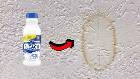 Fix Water Stains on Your Ceiling Without Painting It | DIY Joy Projects and Crafts Ideas