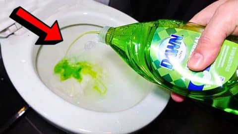 How To Unclog A Toilet Without A Plunger Using Dish Soap | DIY Joy Projects and Crafts Ideas
